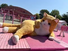 -渔岛海洋度假区