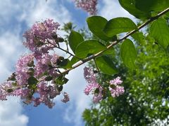 -鹫峰国家森林公园