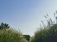 -北坞公园