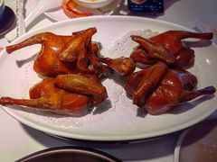 红烧乳鸽-陶陶居·雅园(凯华国际店)