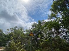 -海南热带雨林国家公园吊罗山景区