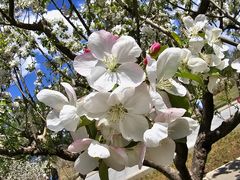 -野鸭湖国家湿地公园