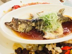 广式蒸桂鱼-泓历皇朝酒店(东亭店)