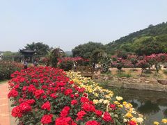 -龙寺生态园