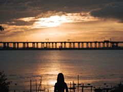 -宝安西湾红树林湿地公园