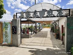 -美家乐农庄·露营·团建(大治路店)