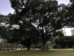 -荔香公园
