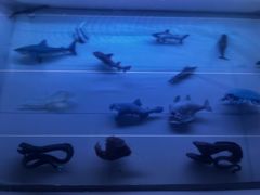 -同济大学四平路校区深海探索馆