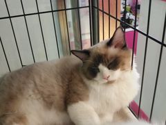 -小时光咖啡馆(开森度假森林店)