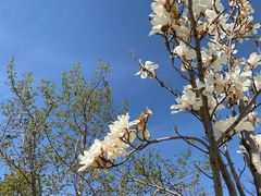 -鹫峰国家森林公园