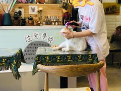 -平行世界·猫咖(首经贸店)