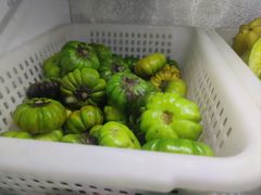-晓雯人家