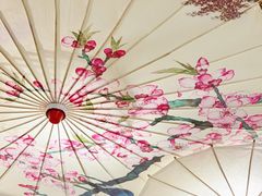 -格桑花开药膳蔬食文化空间