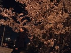 -嘉兴华美达酒店(秦逸路店)