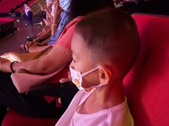 -珠海横琴长隆《卡卡虎奇遇记》