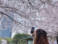 -玉山公园
