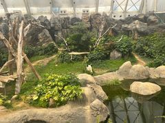 -香港海洋公园