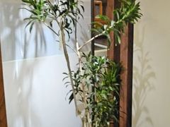 -上座云间·青年赣菜(绿茵店)