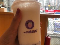 -一只酸奶牛(八一路店)