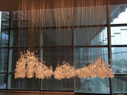 门面-深圳中洲万豪酒店·宴会厅