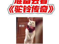 -华夏文旅西安度假区