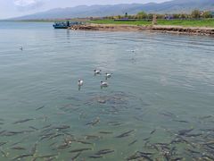-青海湖二郎剑景区