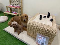 -白兔子密室(长寿路店)