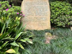 -十八棵（老龙井）御茶园(老龙井店)