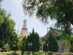 -张掖大佛寺景区