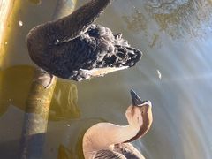 -北京市海淀外国语实验学校