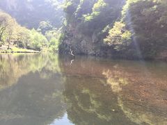 -少华山国家森林公园