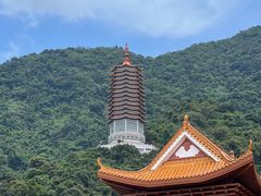 -深圳仙湖植物园