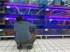 -大润发(康桥店)