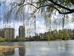 -群力丁香公园
