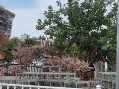 -粤北餐馆