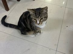 -重庆麻辣烫(国权路店)