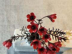 -南堂馆·新川菜(春熙路店)