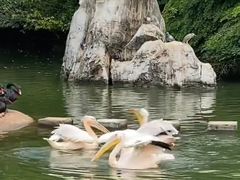 -昆明动物园