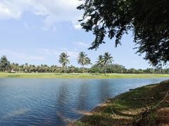 -博鳌亚洲论坛国际会议中心