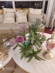 -茜尔维亚修身连锁(闵行莘庄店)