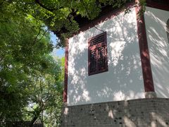 -上海佘山国家森林公园天马山园