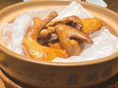 -大鸽饭(动物园店)