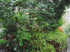 -天目湖御水温泉·度假酒店