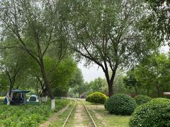 -永定河休闲森林公园