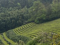 -敬亭山风景名胜区