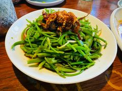 -菌自由丨野生菌火锅特色庭院餐厅(丽江古城店)