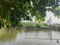 -东莞市可园博物馆