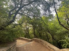 -千佛山风景名胜区