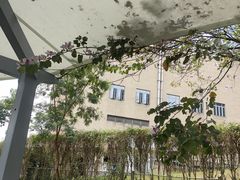 -玉树公园
