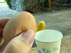 -天目湖涵田半山温泉